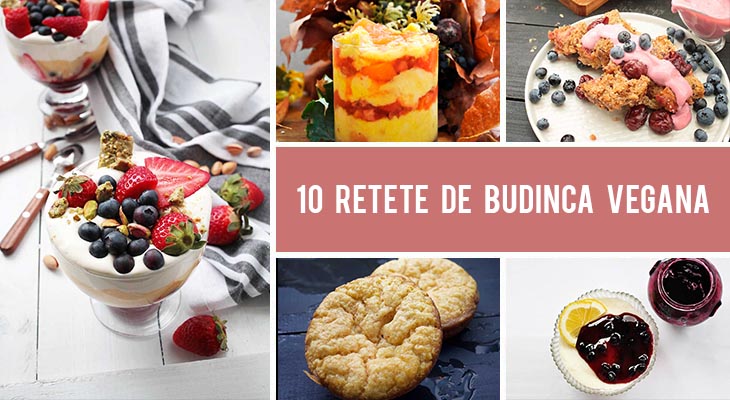 10 retete de budinca vegana care vor fi pe gustul tuturor