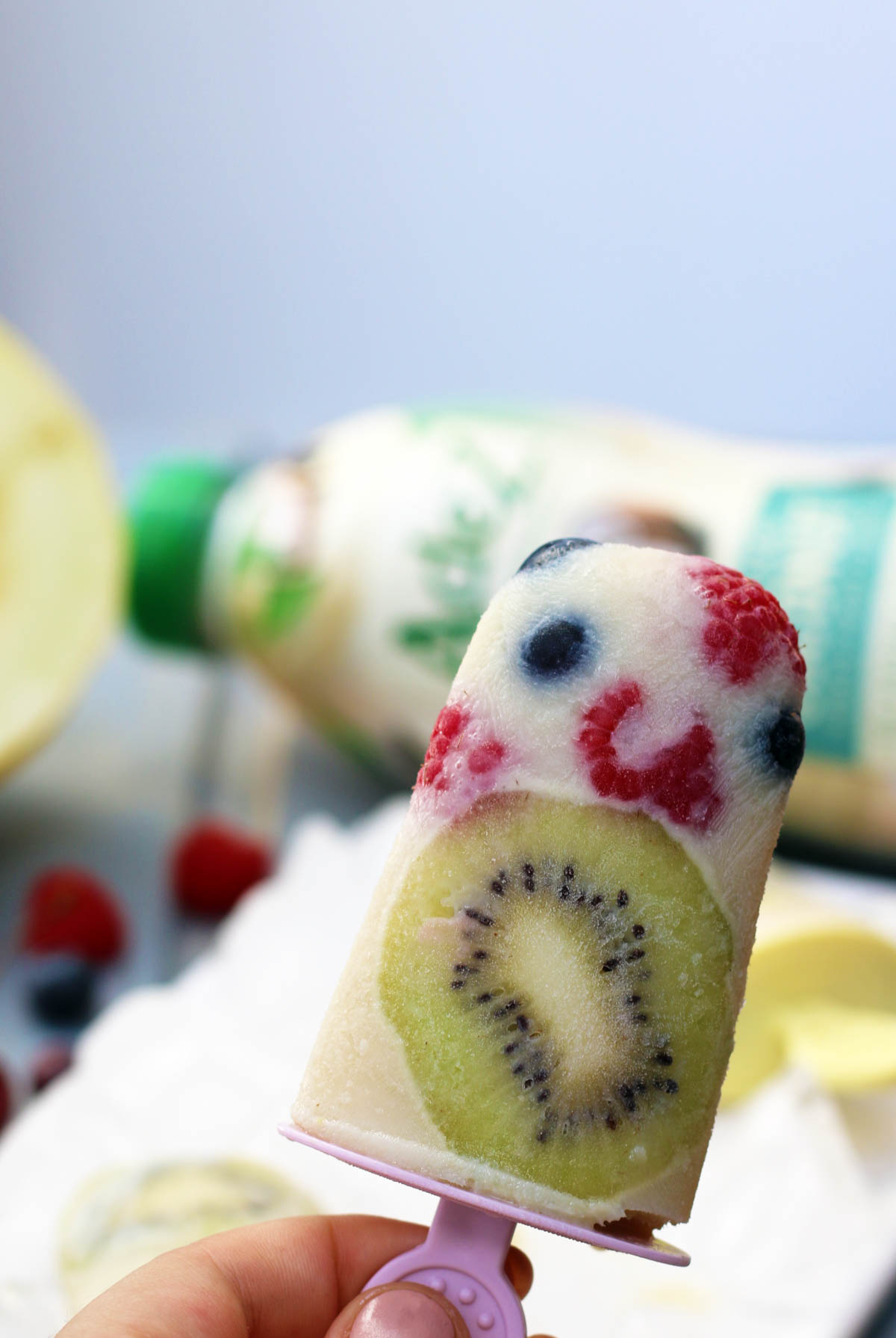 homemade vegan popsicles