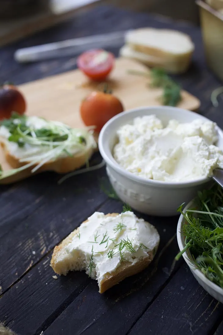 how to make Vegan Cream Cheese with probiotics