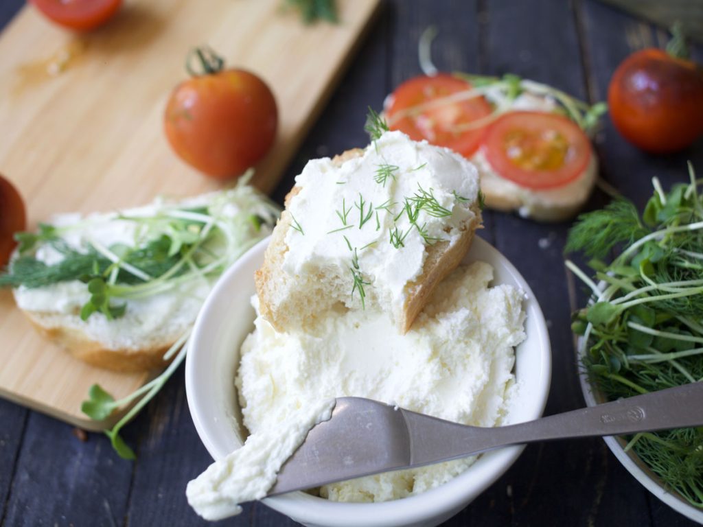 how to make Vegan Cream Cheese cultured with probiotics at home 