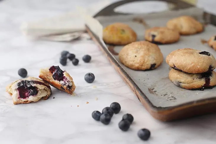 Biscuiti cu afine vegani