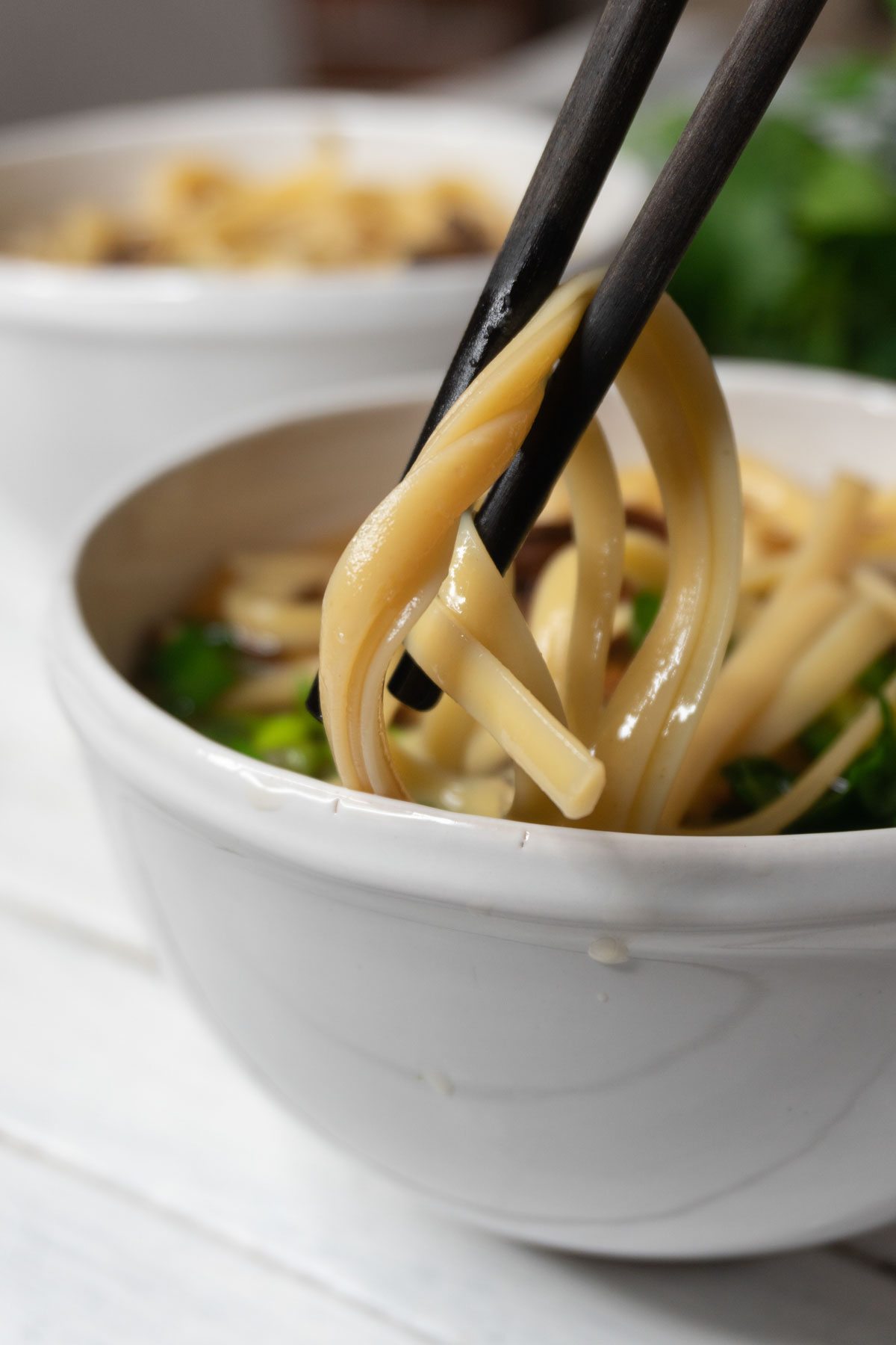 Vegan Udon Noodle Soup