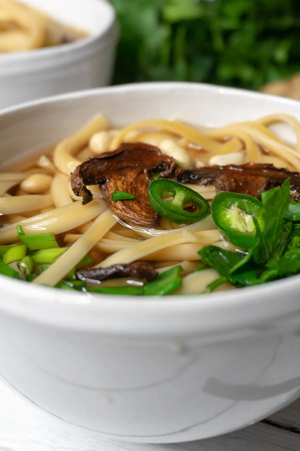 Vegan Udon Soup Recipe Supa Udon