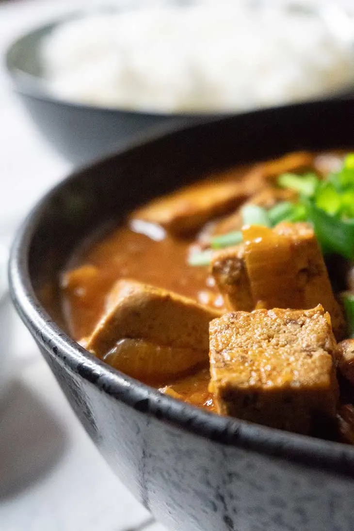 Vegetarian Mapo Tofu