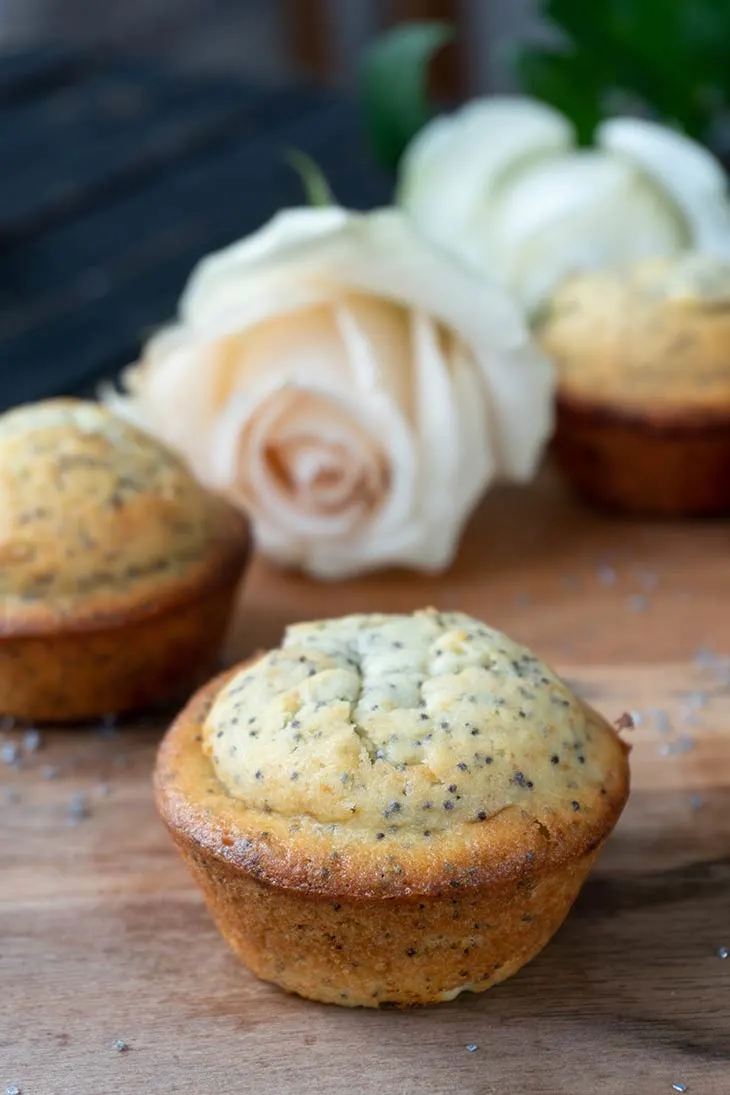 vegan Poppyseed Muffins