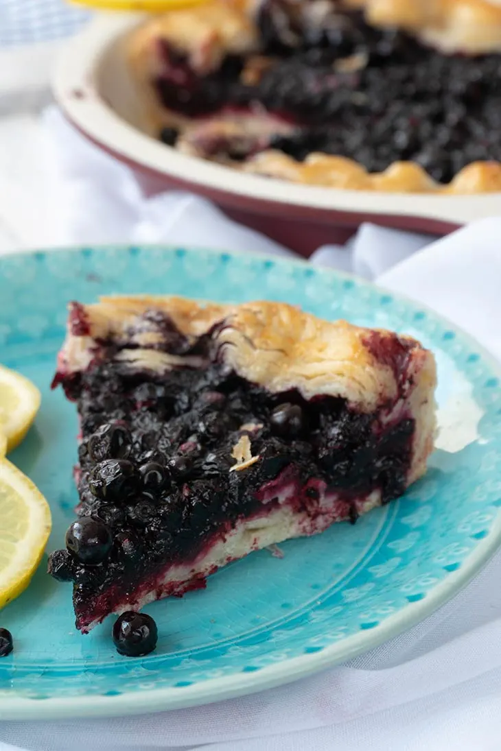 Vegan Blueberry Pie