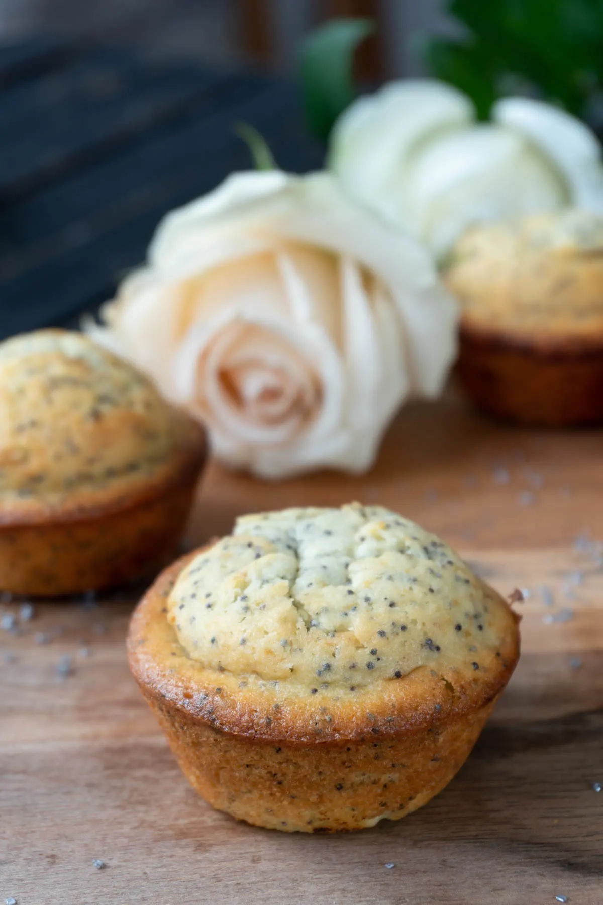 Poppyseed Muffins dessert