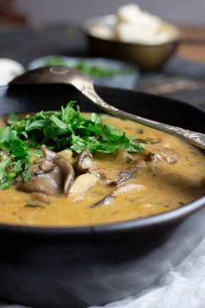 Mixed Mushroom Soup - Gourmandelle
