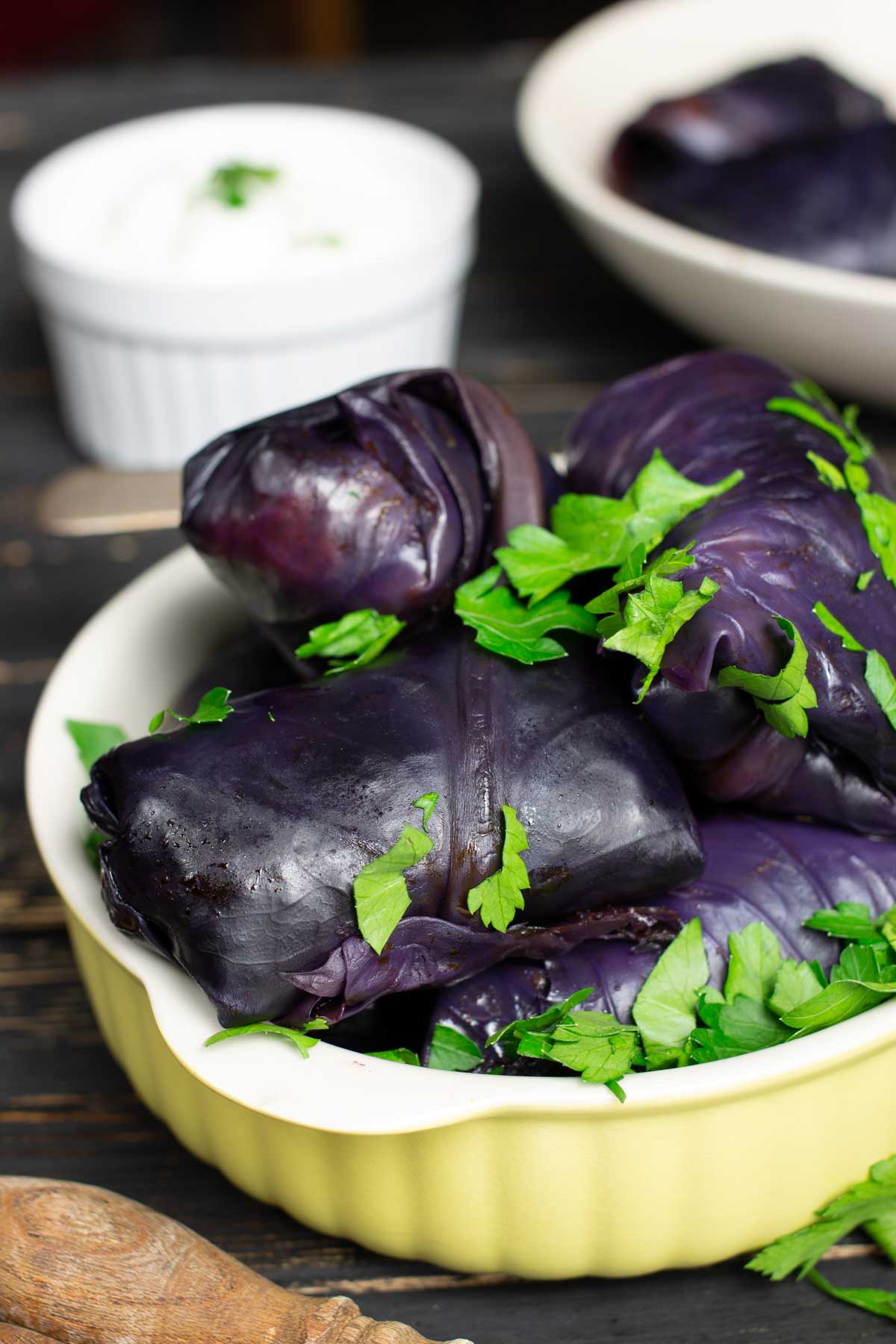 Stuffed Red Cabbage Rolls Dolmas