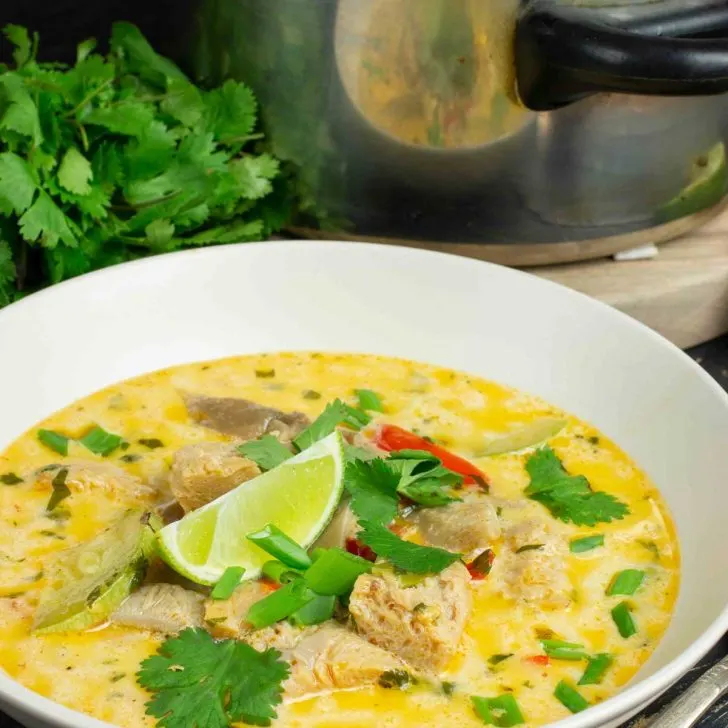 Coconut curry chicken soup recipe