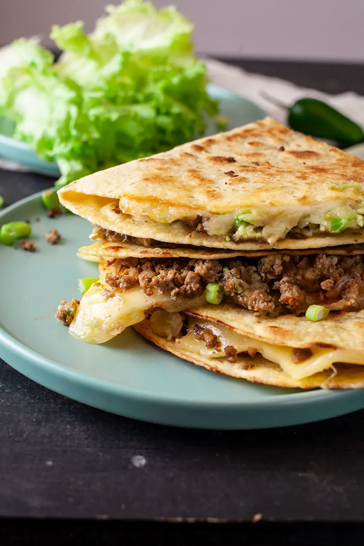 vegan Ground Soy Quesadilla 