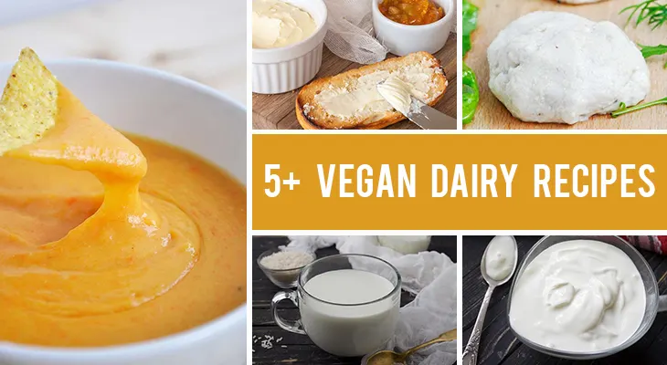 How To Replace Dairy in Your Diet - 5+ Dairy-Free Recipes for Cheese, Milk, Butter & More