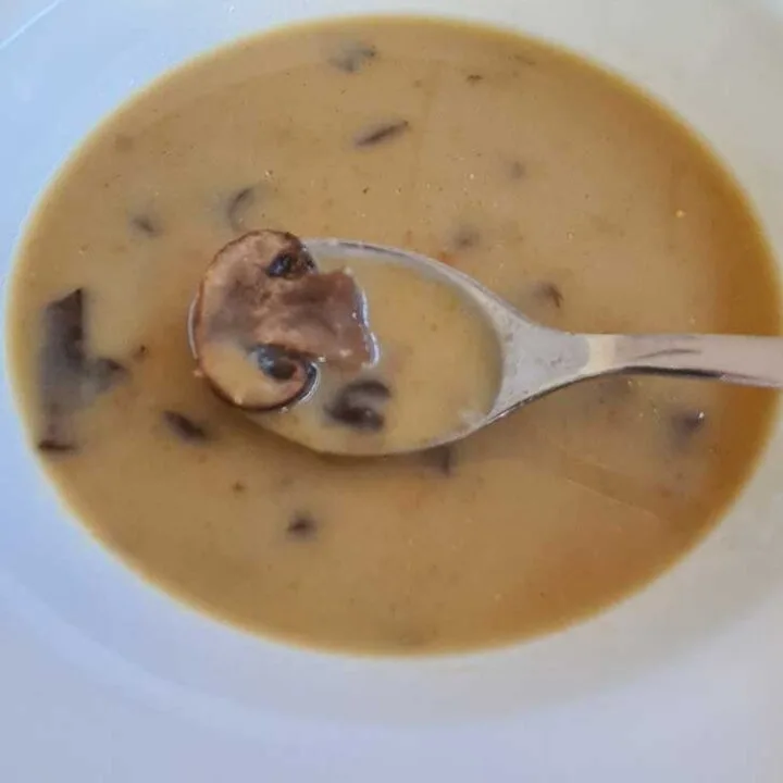 asian mushroom soup recipe supa de ciuperci cu arome asiatice
