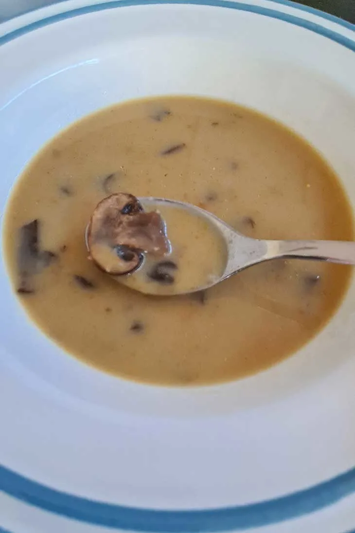 Cream of Mushroom Soup Recipe (Easy Blender Mushroom Soup) - Everyday Easy  Eats