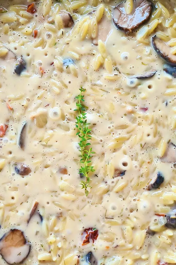 Creamy orzo sauce