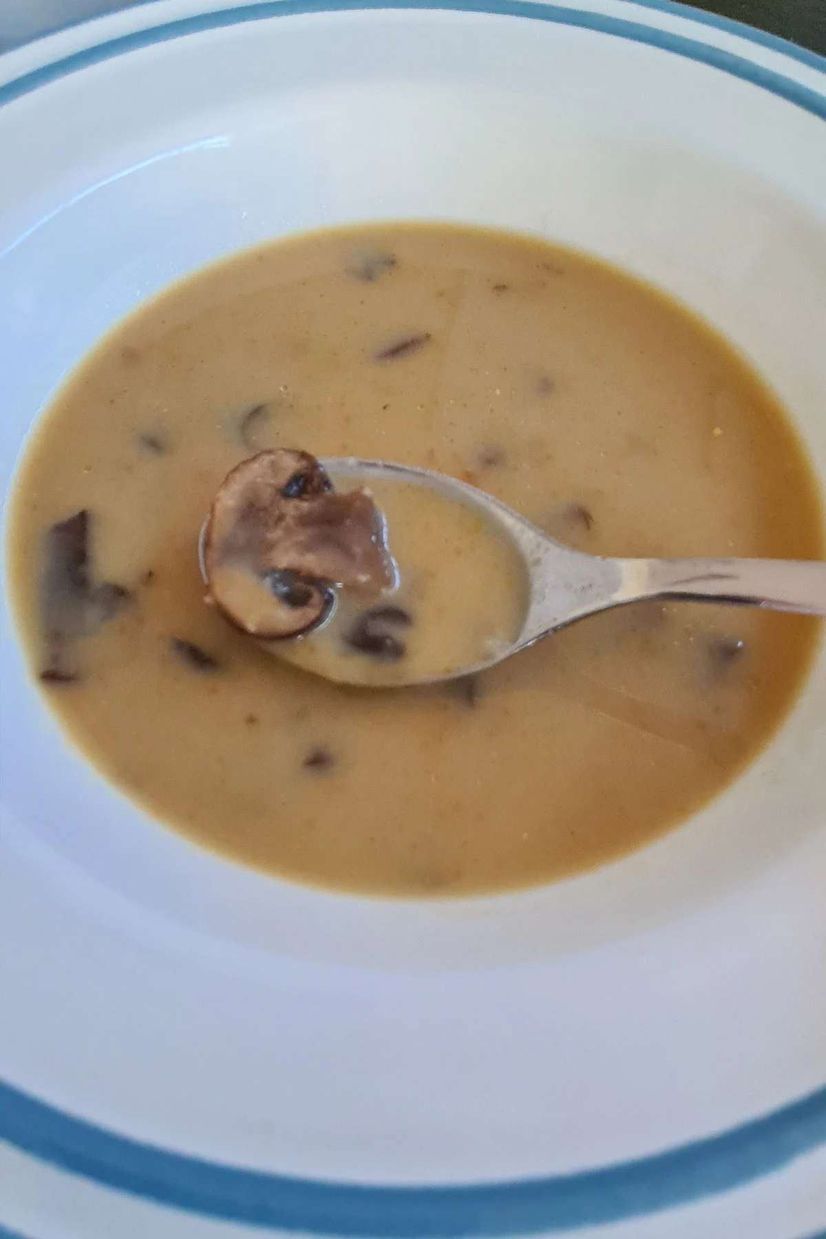 asian mushroom soup recipe