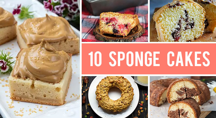 10 Sponge Cake Recipes That Are Simple and Easy to Make