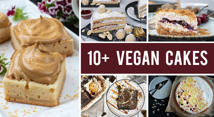 10+ Vegan Cake Recipes That Are Easy To Bake