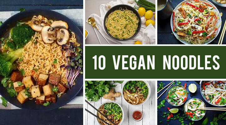 10 Vegan Noodles Recipes for Busy Days