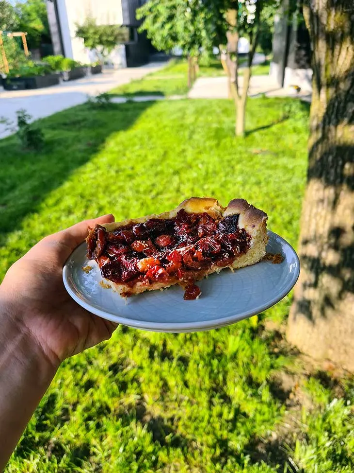 sour cherry tart dessert