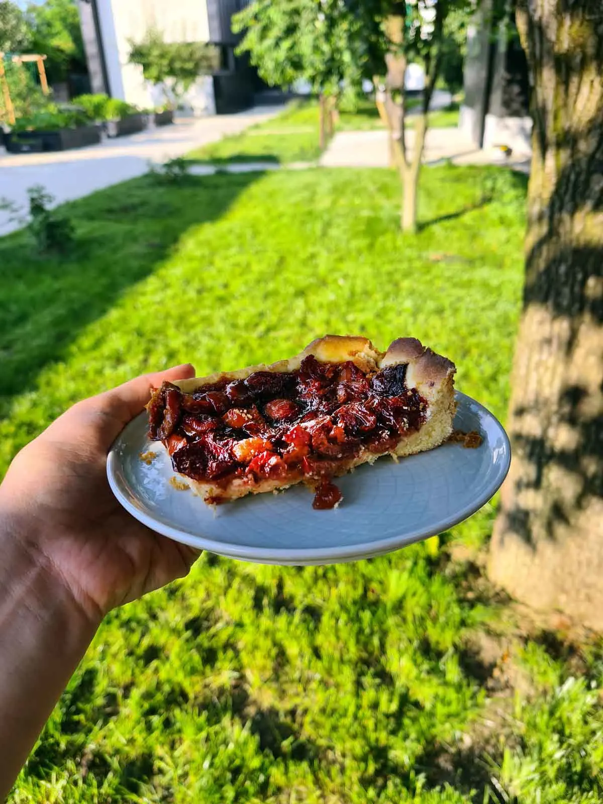 sour cherry tart dessert 