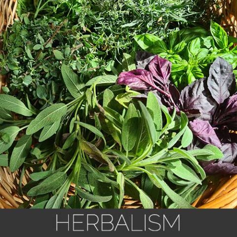 herbalism