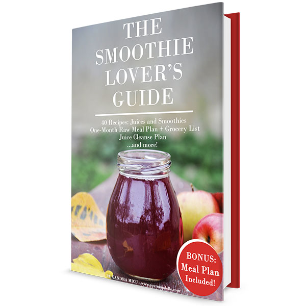 The Smoothie Lover's Guide - 40 Juices and Smoothies