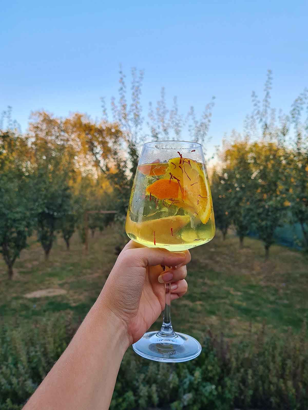 saffron gin tonic cu sofran cocktail reteta