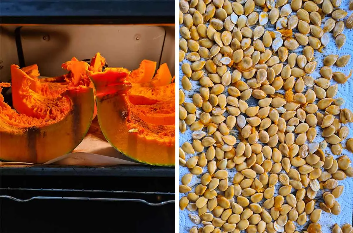 roasted pumpkin seeds