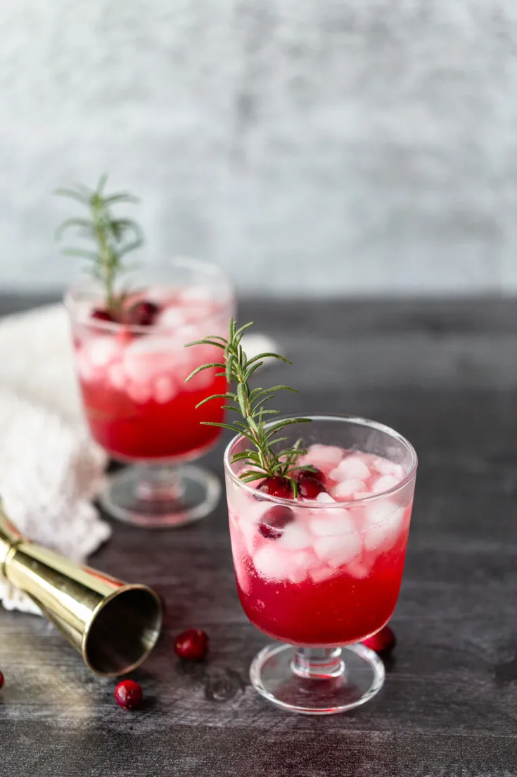 Cranberry Fizz Mocktail