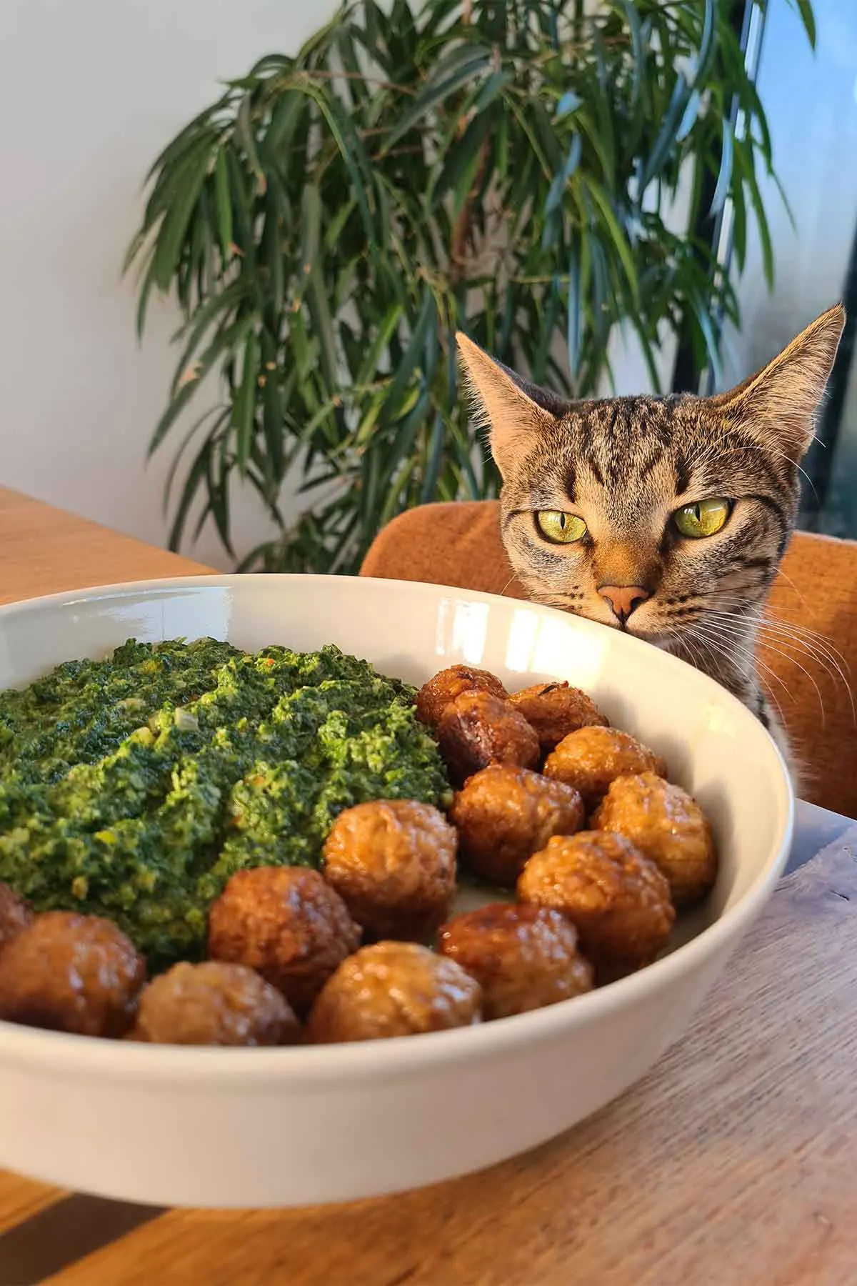 creamed spinach with veggie balls mancare de spanac cu chiftelute vegetale