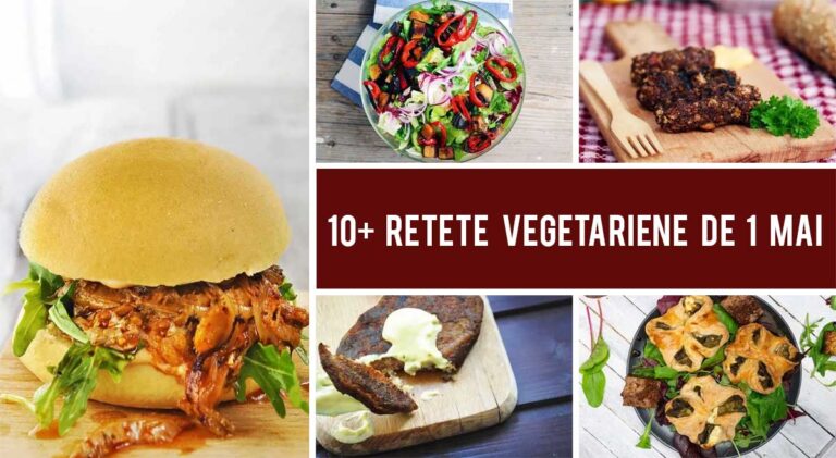 10+ Retete Vegetariene de 1 Mai pentru picnic si gratar cu prietenii