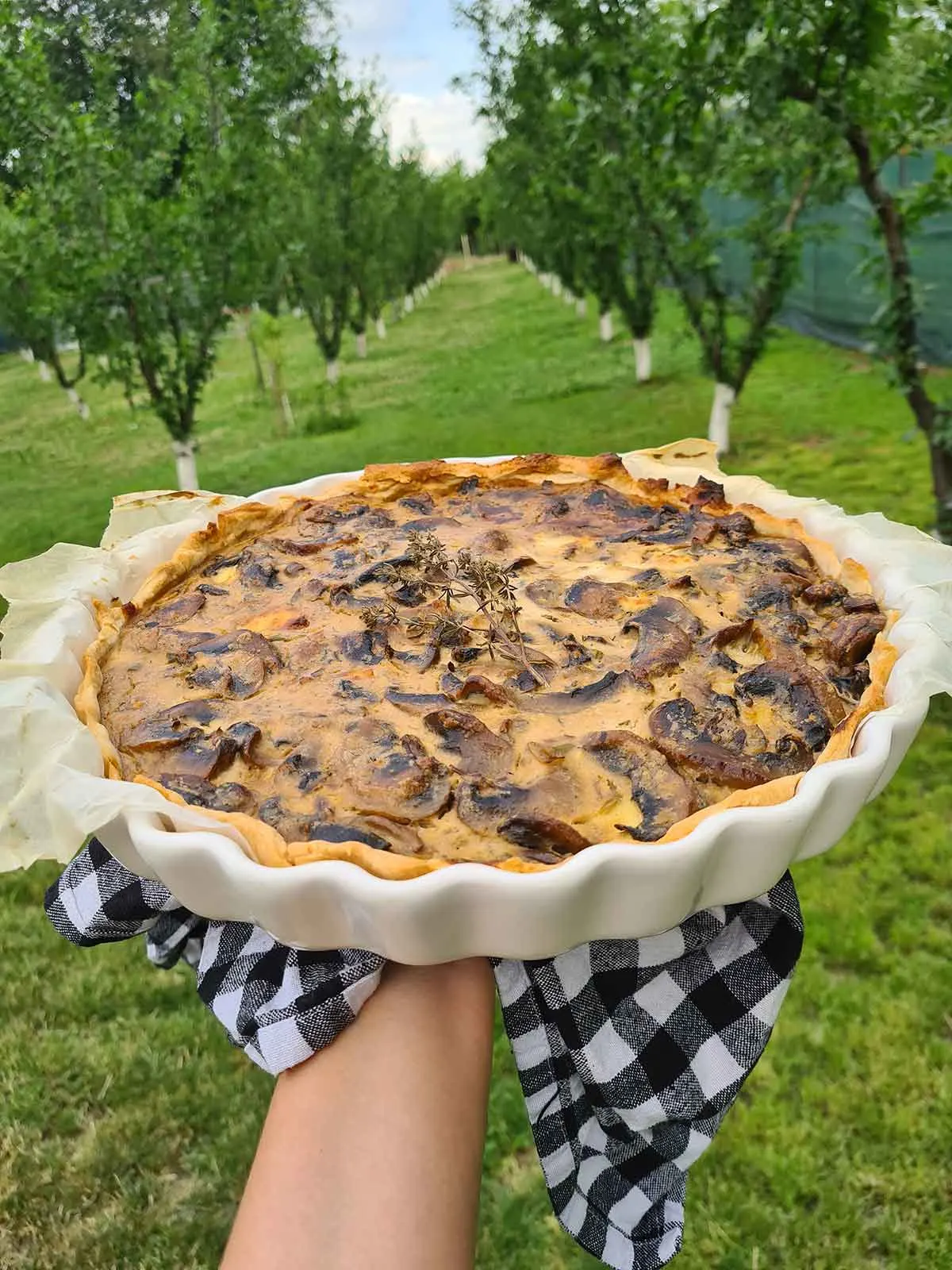 Mushroom Blue Cheese Tart recipe