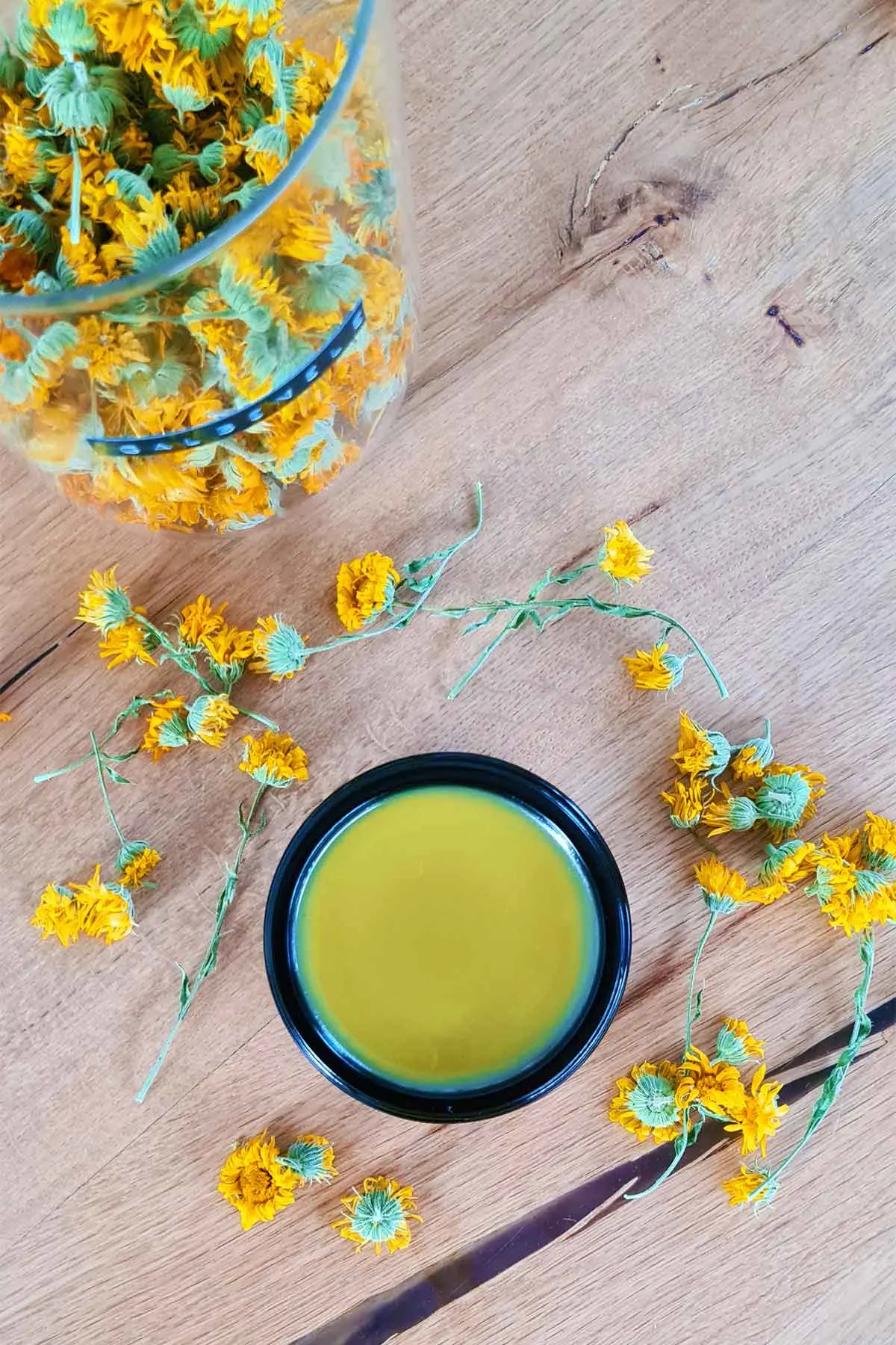 homemade calendula salve recipe 