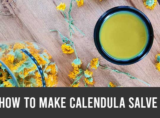 how to make calendula salve