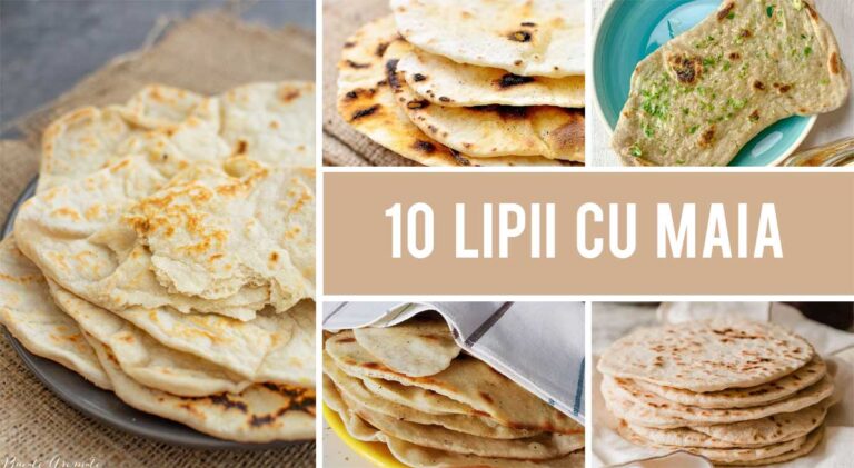 10 Lipii cu maia pe care le poti face cu maiaua ramasa dupa hranire