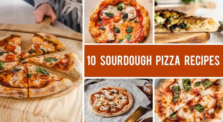 10 Sourdough Pizza Recipes That Will Bring Italy To Your Plate