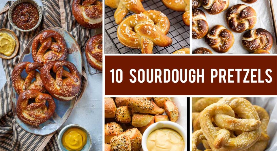 10 Best Sourdough Pretzels (FailProof Recipes)