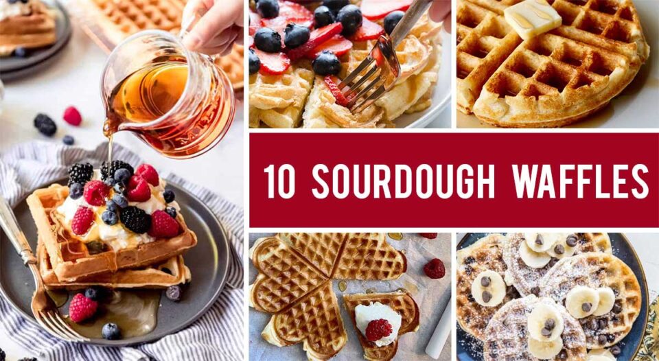 10 Best Sourdough Waffles Recipes (Quick & Easy) Gourmandelle