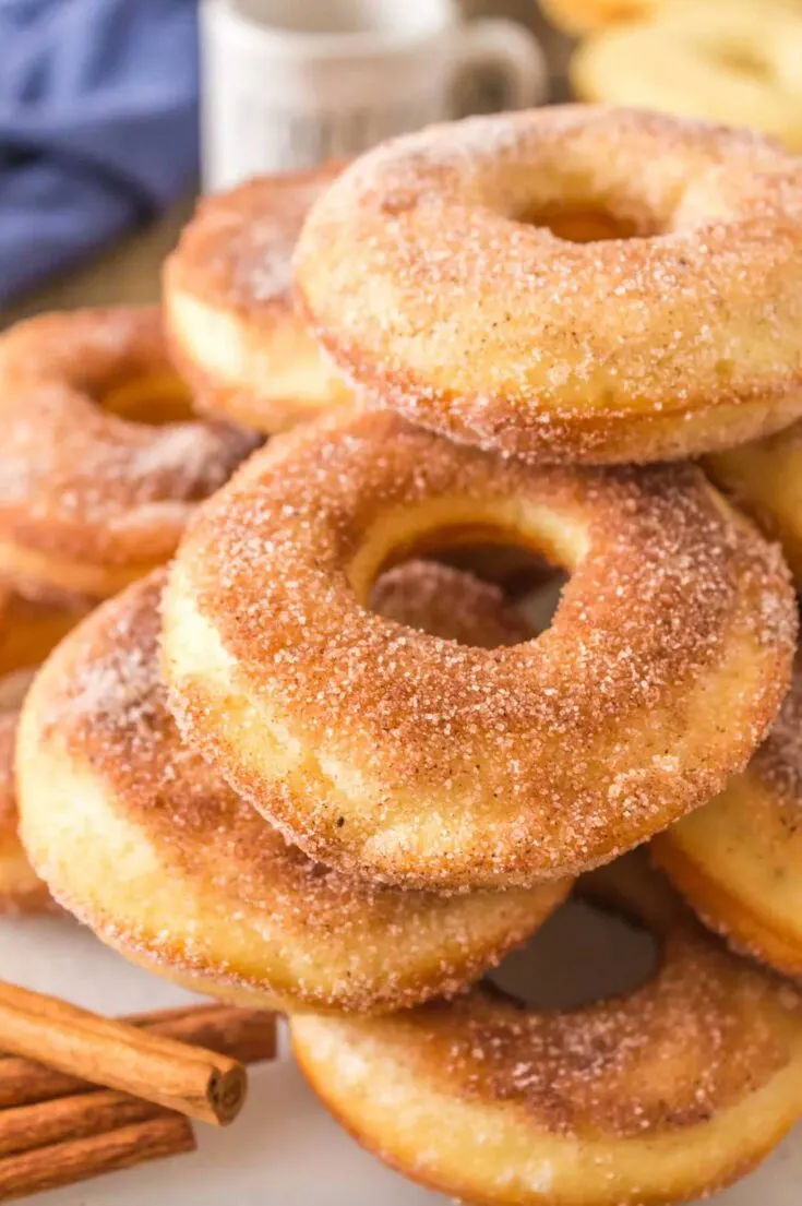 Sourdough Cinnamon Sugar Baked Donuts