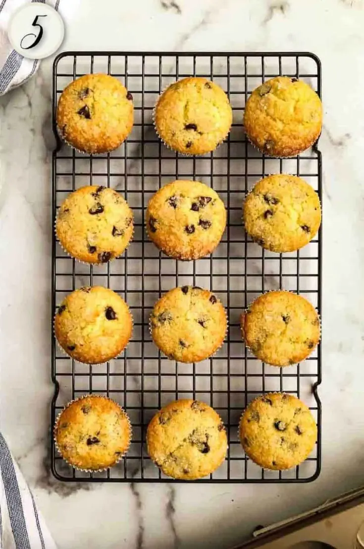 Easy Chocolate Chip Sourdough Muffins