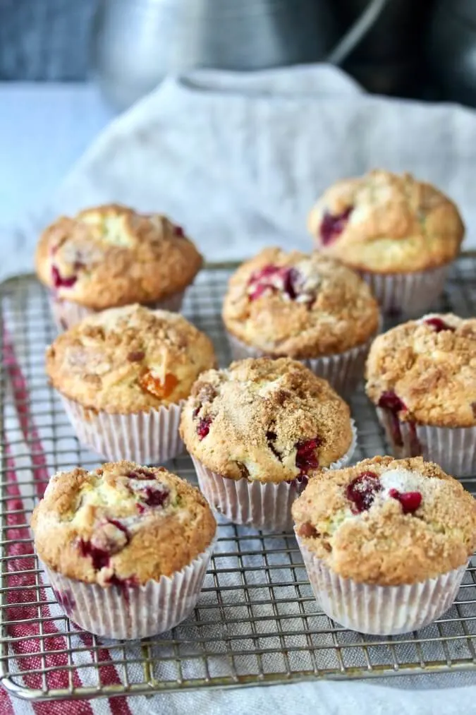 Sourdough Cranberry Muffin