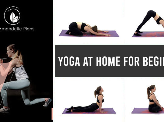 Yoga at Home for Beginners