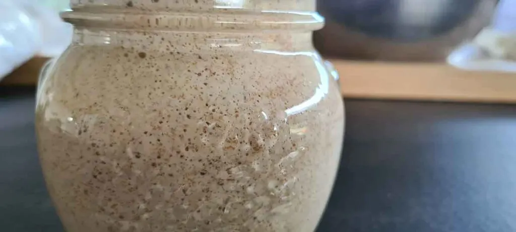 sourdough starter bubbles