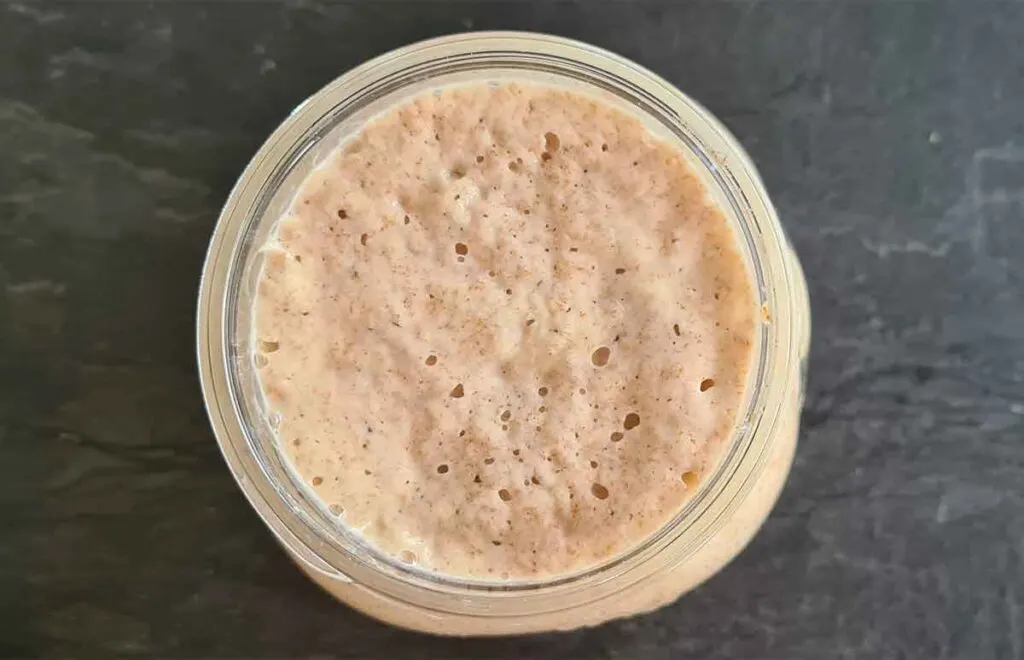 sourdough starter