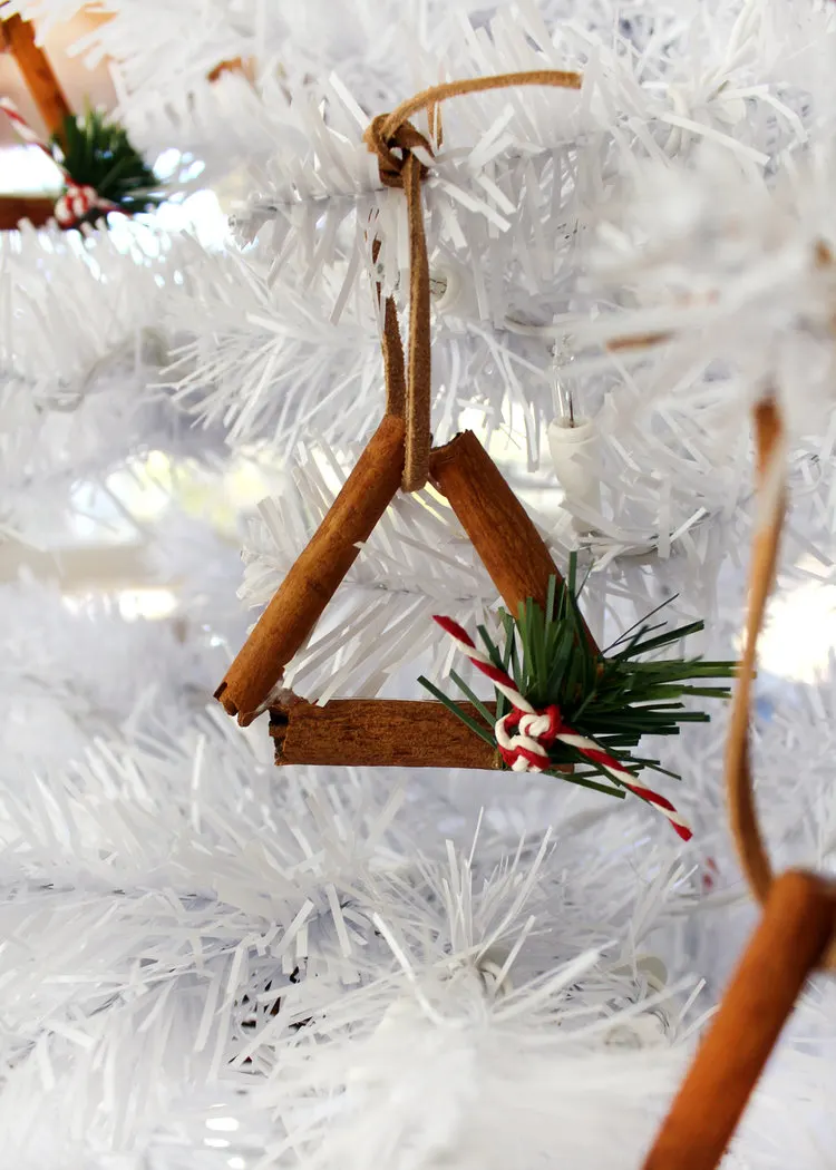 Cinnamon Ornaments