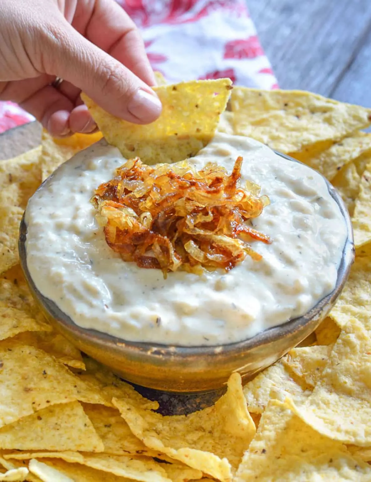 onion dip for vegan potluck