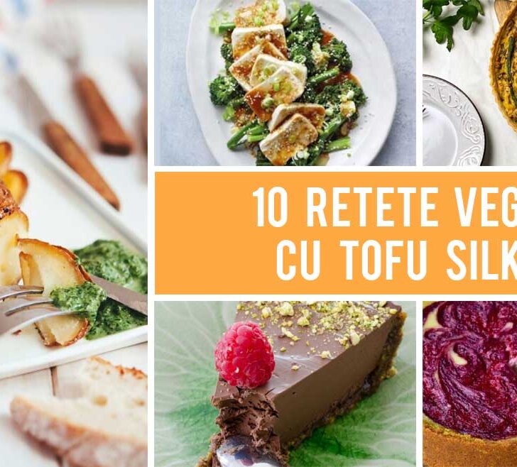 10 Retete vegane cu tofu silken care te vor impresiona