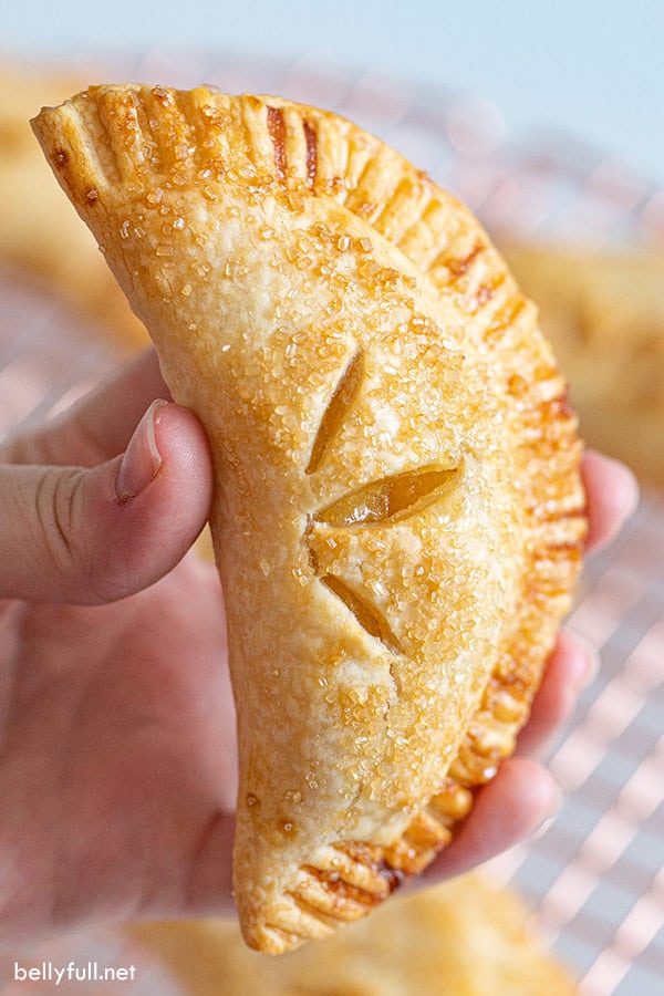 Air Fryer Apple Hand Pies 