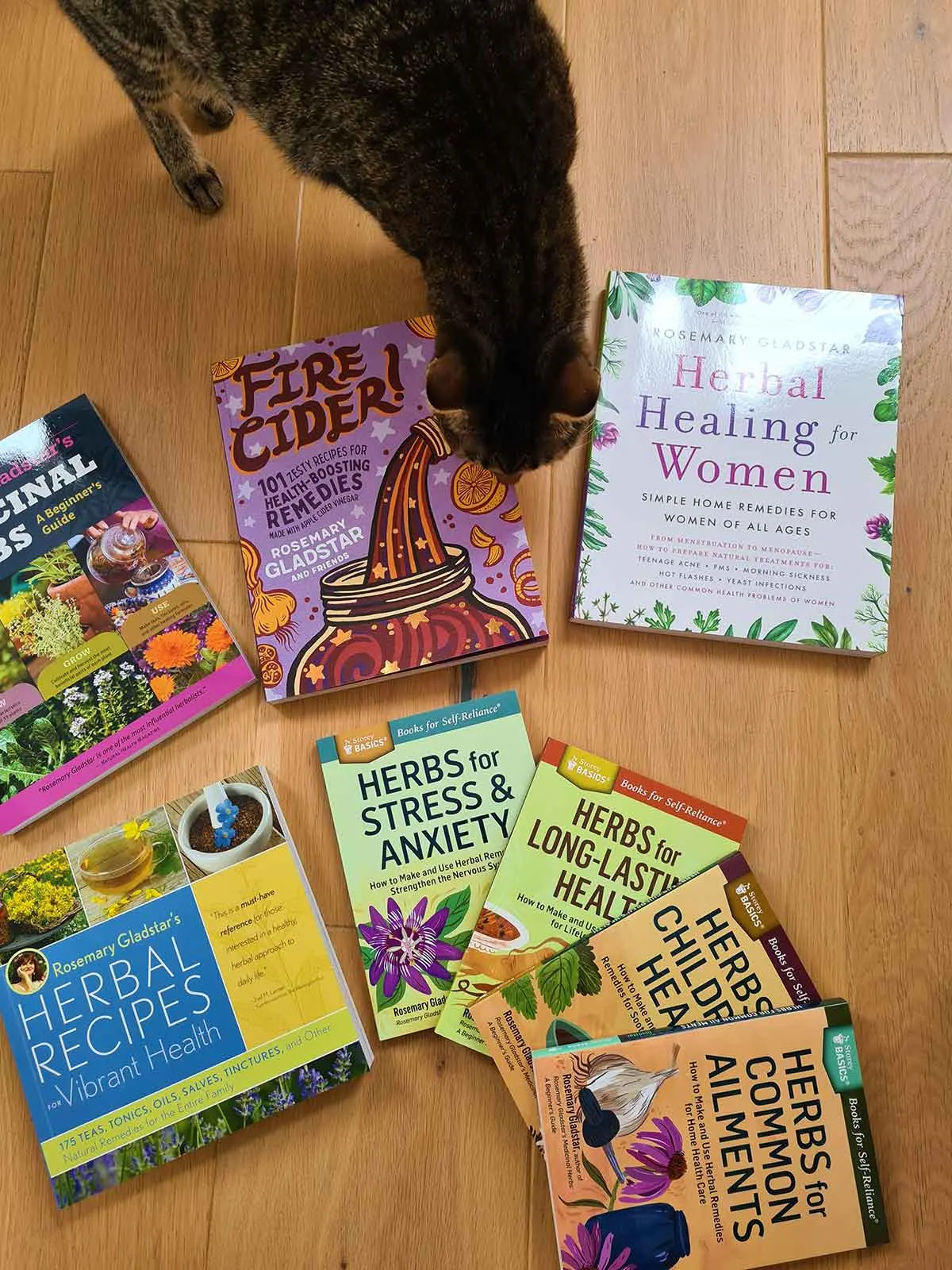 best rosemary gladstar herbalism books